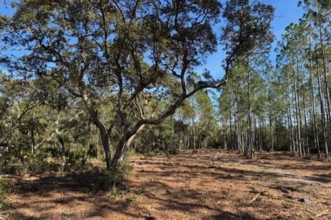 Land in Fort MC Coy, Florida № 1406428 - photo 7