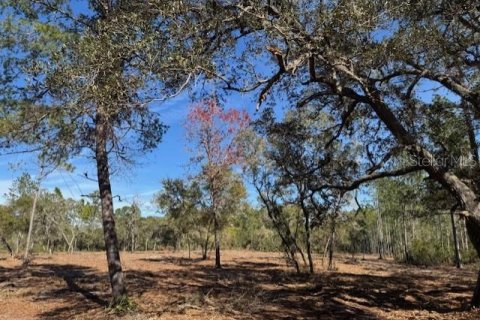 Land in Fort MC Coy, Florida № 1406428 - photo 10