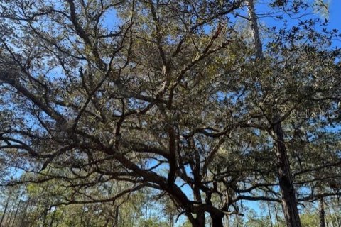 Land in Fort MC Coy, Florida № 1406428 - photo 6
