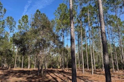 Land in Fort MC Coy, Florida № 1406428 - photo 14