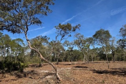 Land in Fort MC Coy, Florida № 1406428 - photo 13
