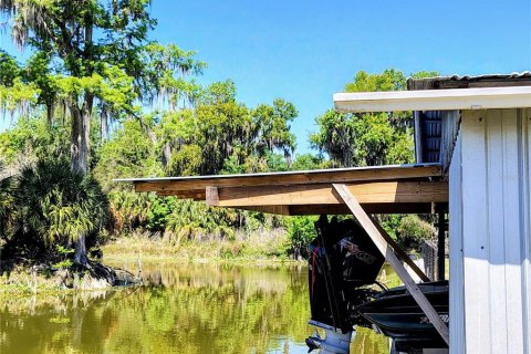 Villa ou maison à vendre à Lake Panasoffkee, Floride: 4 chambres, 123.47 m2 № 2310359 - photo 10