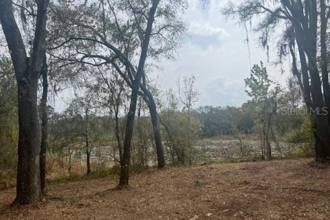 Terrain à vendre à Lutz, Floride № 293908 - photo 6