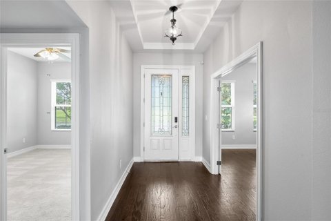 House in Fish Hawk, Florida 4 bedrooms, 323.67 sq.m. № 2394298 - photo 6