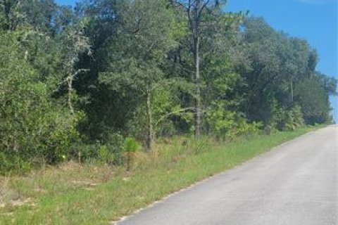 Land in Dunnellon, Florida № 2161651 - photo 3