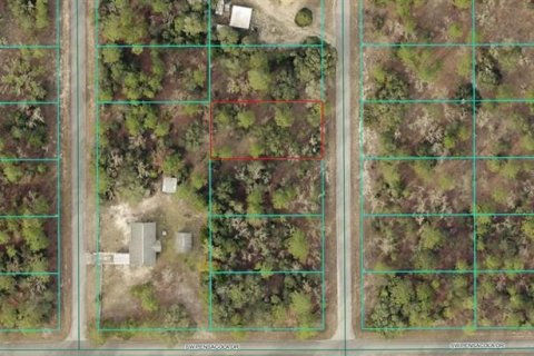 Land in Dunnellon, Florida № 2161651 - photo 5