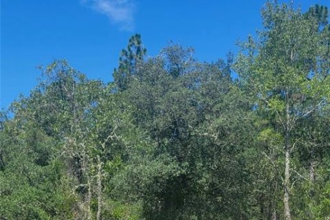 Land in Dunnellon, Florida № 2161651