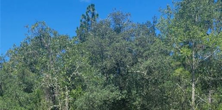 Land in Dunnellon, Florida № 2161651