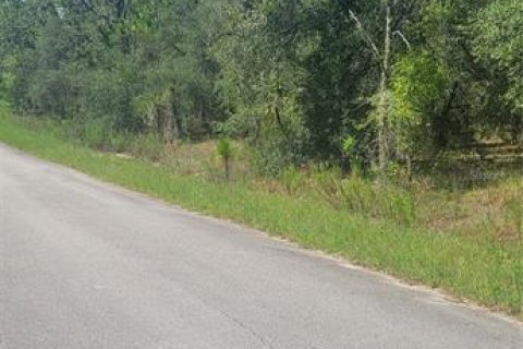 Land in Dunnellon, Florida № 2161651 - photo 2