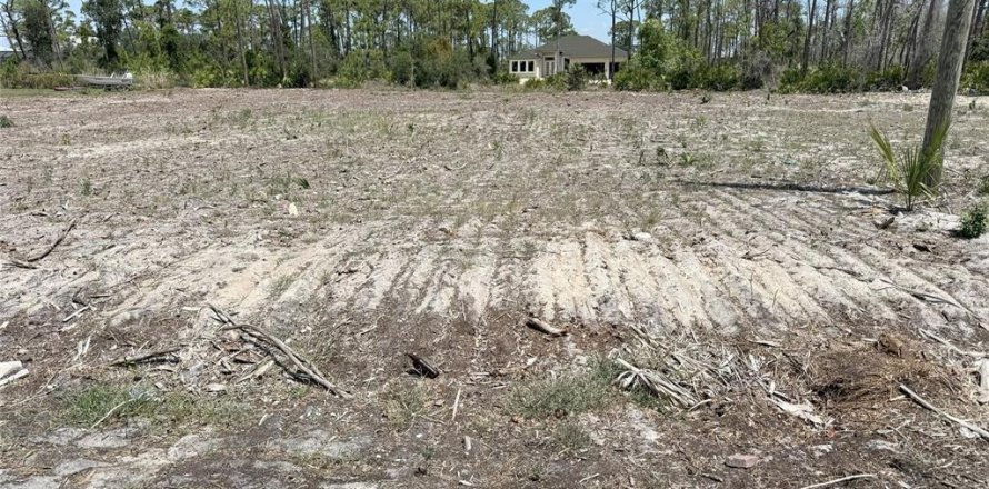 Terrain à Englewood, Floride № 2195360