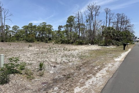 Terrain à vendre à Englewood, Floride № 2195360 - photo 4