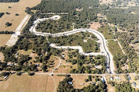 Terreno en venta en Oxford, Florida № 1508500 - foto 1