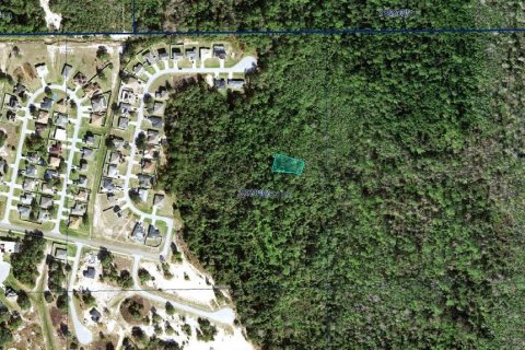 Land in Poinciana, Florida № 2159745 - photo 3