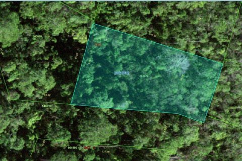 Land in Poinciana, Florida № 2159745
