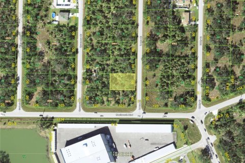 Land in Port Charlotte, Florida № 2159230 - photo 2