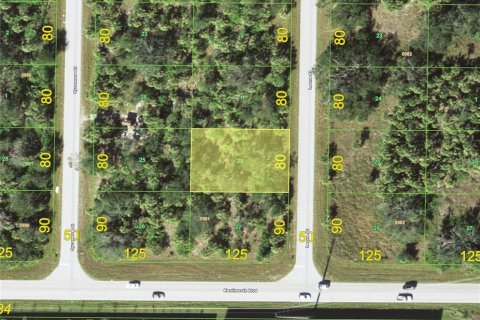 Land in Port Charlotte, Florida № 2159230