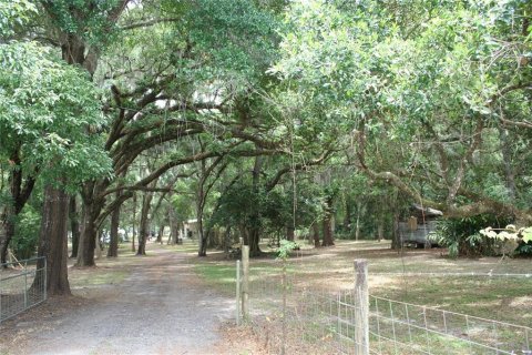 Commercial property in Crescent City, Florida № 1108416 - photo 4