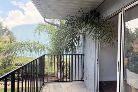 Copropriété à louer à Tampa, Floride: 2 chambres, 77.48 m2 № 2434923 - photo 4