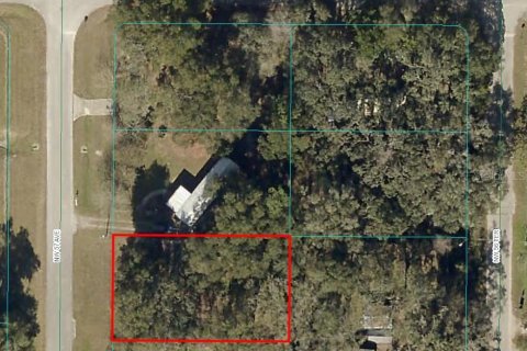 Land in Ocala, Florida № 2160160