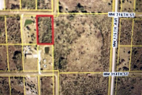 Land in Okeechobee, Florida № 2159120 - photo 4