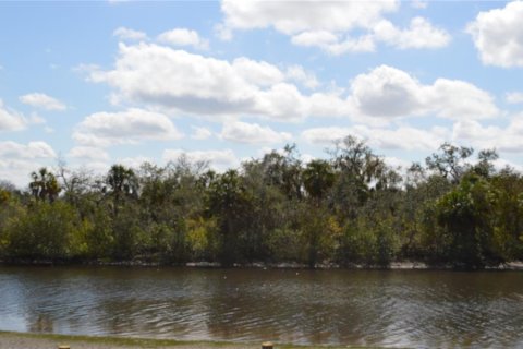 Land in Gibsonton, Florida № 2302418 - photo 6