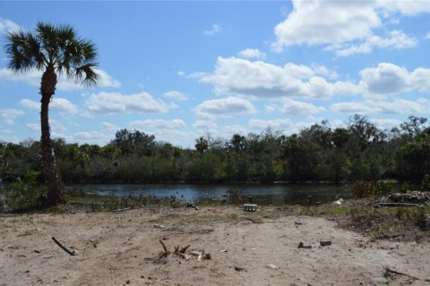 Land in Gibsonton, Florida № 2302418 - photo 4