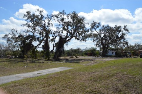 Land in Gibsonton, Florida № 2302418 - photo 9