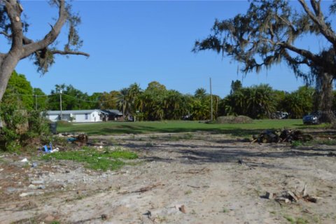 Land in Gibsonton, Florida № 2302418 - photo 10