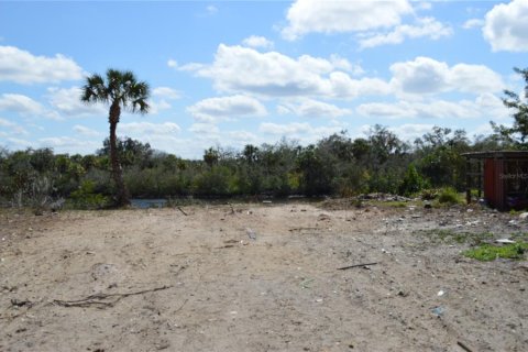 Land in Gibsonton, Florida № 2302418 - photo 3