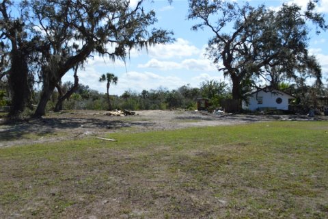 Land in Gibsonton, Florida № 2302418 - photo 2