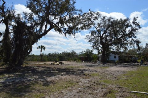 Land in Gibsonton, Florida № 2302418 - photo 8
