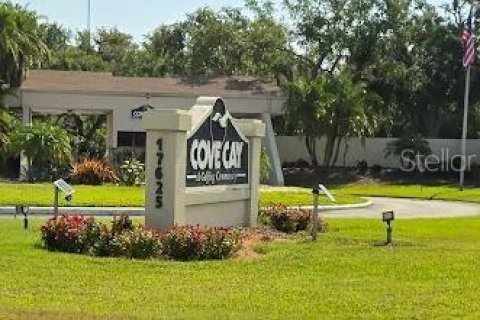 Copropriété à louer à Clearwater, Floride: 2 chambres, 97.55 m2 № 1810948 - photo 16