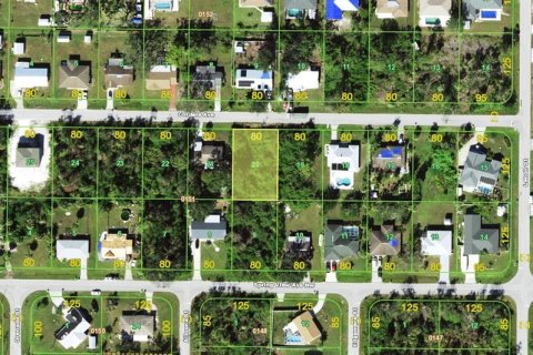 Land in Port Charlotte, Florida № 2235243