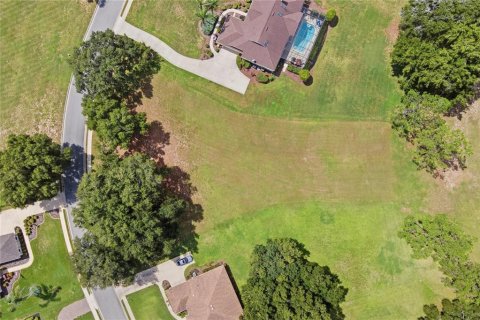 Land in Lady Lake, Florida № 2388125 - photo 6