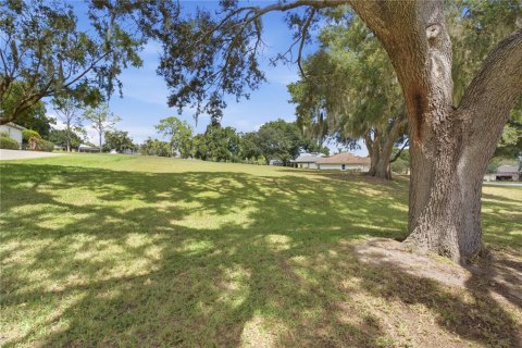 Land in Lady Lake, Florida № 2388125 - photo 4