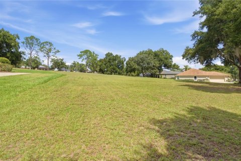 Land in Lady Lake, Florida № 2388125 - photo 3