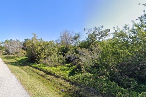 Land in Venice, Florida № 1909204 - photo 2