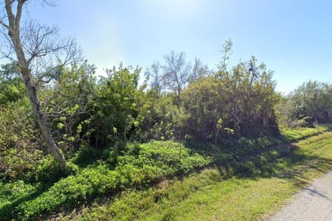 Land in Venice, Florida № 1909204 - photo 3