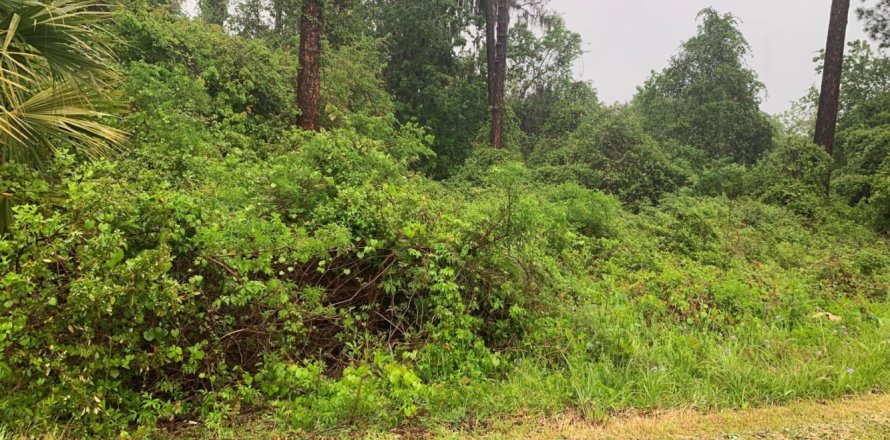 Land in Hawthorne, Florida № 961661