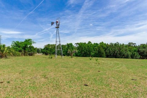 Terrain à Brooksville, Floride № 2142664