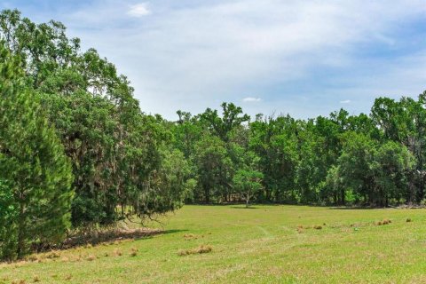 Terrain à vendre à Brooksville, Floride № 2142664 - photo 6