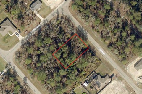 Land in Ocala, Florida № 2161602 - photo 3