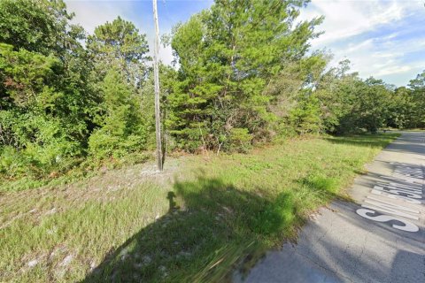 Land in Ocala, Florida № 2161602 - photo 2