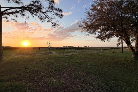 Villa ou maison à vendre à Williston, Floride: 2 chambres, 102.75 m2 № 2147605 - photo 6