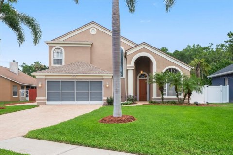 House in Tarpon Springs, Florida 4 bedrooms, 280.47 sq.m. № 1792779 - photo 1