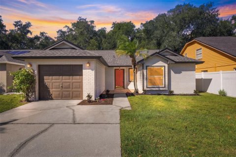 Villa ou maison à Tampa, Floride 3 chambres, 105.26 m2 № 2429589