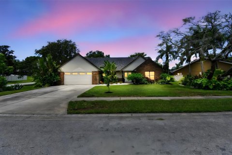 House in Palm Harbor, Florida 4 bedrooms, 248.05 sq.m. № 1826459 - photo 1