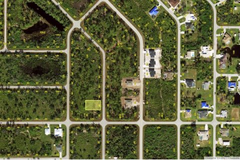 Land in Port Charlotte, Florida № 2161721 - photo 2