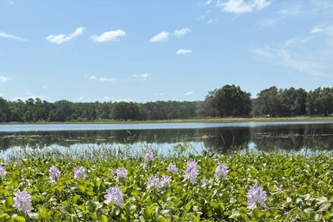 Terrain à vendre à Brooksville, Floride № 1831425 - photo 4