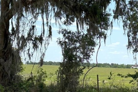 Terrain à vendre à Brooksville, Floride № 1831425 - photo 10